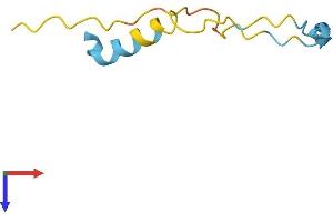 AlphaFold protein structure predicition of Human Recombinant C16orf74 Protein, UniprotID Q96GX8