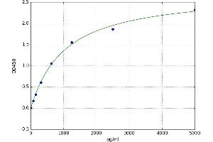 ADAM Metallopeptidase with thrombospondin Type 1 Motif, 12 (ADAMTS12) ELISA Kit