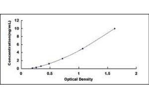 Typical standard curve (NEUROD6 ELISA Kit)