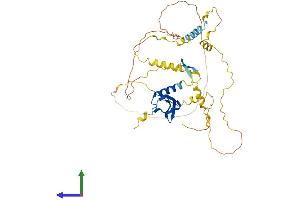 AlphaFold protein structure predicition of Mouse Recombinant Cbx6 Protein, UniprotID Q9DBY5