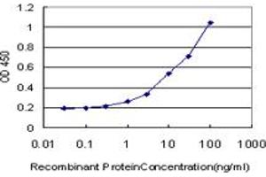 Detection limit for recombinant GST tagged PCNA is approximately 0. (PCNA antibody  (AA 152-261))