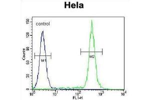 Flow Cytometry (FACS) image for anti-T-Box 6 (TBX6) antibody (ABIN2996310) (T-Box 6 antibody)