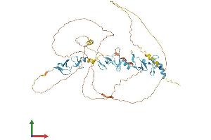AlphaFold protein structure predicition of Mouse Recombinant Ajuba Protein, UniprotID Q91XC0 (AJUBA Protein (AA 1-547) (His tag))