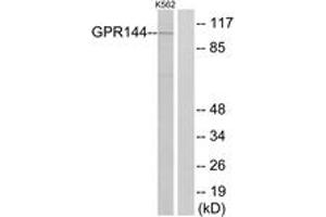 Western blot analysis of extracts from K562 cells, using GPR144 Antibody. (GPR144 antibody  (AA 91-140))