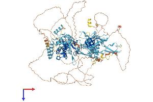 MCM9 Protein (AA 1-1134) (His tag)
