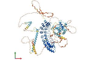 AlphaFold protein structure predicition of Human Recombinant ESPNL Protein, UniprotID Q6ZVH7 (ESPNL Protein (AA 1-1005) (His tag))