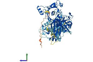 AlphaFold protein structure predicition of Human Recombinant CAPN14 Protein, UniprotID A8MX76 (Calpain 14 Protein (CAPN14) (AA 1-684) (His tag))