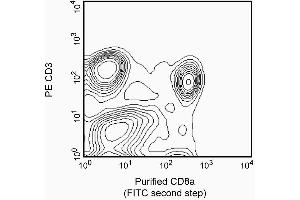 Stained with purified mAb OX-8 (CD8 alpha antibody)