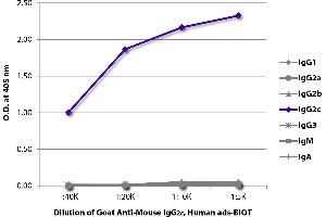 ELISA plate was coated with purified mouse IgG1, IgG2a, IgG2b, IgG2c, IgG3, IgM, and IgA. (Goat anti-Mouse IgG2c (Heavy Chain) Antibody (Biotin))