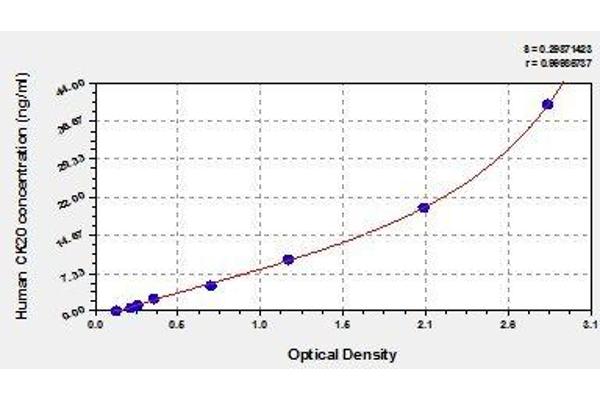 KRT20 ELISA Kit