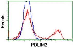 HEK293T cells transfected with either RC210022 overexpress plasmid (Red) or empty vector control plasmid (Blue) were immunostained by anti-PDLIM2 antibody (ABIN2454456), and then analyzed by flow cytometry.