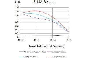 Black line: Control Antigen (100 ng),Purple line: Antigen (10 ng), Blue line: Antigen (50 ng), Red line:Antigen (100 ng) (TIGIT antibody  (AA 22-141))