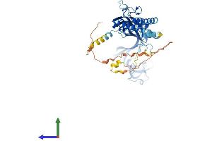 AlphaFold protein structure predicition of Human Recombinant P2RX2 Protein, UniprotID Q9UBL9 (P2RX2 Protein (AA 1-471) (His tag))