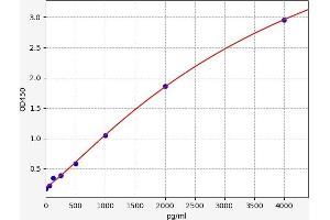 Typical standard curve (FBP1 ELISA Kit)