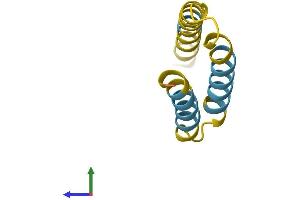 AlphaFold protein structure predicition of Human Recombinant SMIM10L2B Protein, UniprotID P0DMW5