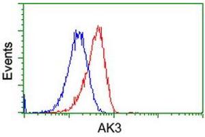 HEK293T cells transfected with either RC204408 overexpress plasmid (Red) or empty vector control plasmid (Blue) were immunostained by anti-AK3 antibody (ABIN2452715), and then analyzed by flow cytometry. (Adenylate Kinase 3 antibody)