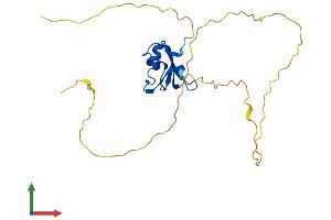 Protein Structure (PS) image for RNA Binding Motif Protein 38 (RBM38) (AA 1-239) protein (His tag) (ABIN7551239)