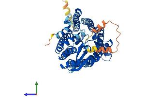 AlphaFold protein structure predicition of Human Recombinant ZMPSTE24 Protein, UniprotID O75844 (ZMPSTE24 Protein (AA 1-475) (His tag))