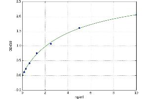 V-Rel Reticuloendotheliosis Viral Oncogene Homolog B (RELB) ELISA Kit