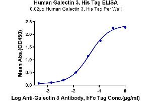 Immobilized Human Galectin 3, His Tag at 0. (Galectin 3 Protein (LGALS3) (AA 2-250) (His tag))