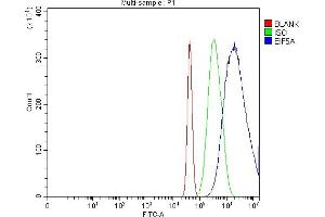 Flow Cytometry analysis of Neuro-2a cells using anti-EIF5A antibody (ABIN7599674). (EIF5A antibody  (AA 107-154))