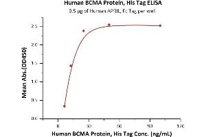 Immobilized Human APRIL, Fc Tag (ABIN6386452,ABIN6388263) at 5 μg/mL (100 μL/well) can bind Human BCMA Protein, His Tag (ABIN4949075,ABIN4949076) with a linear range of 6-25 ng/mL (Routinely tested). (BCMA Protein (AA 1-54) (His tag))
