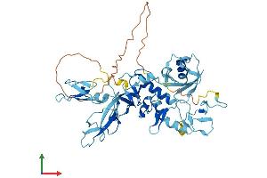 AlphaFold protein structure predicition of Mouse Recombinant Prkn Protein, UniprotID Q9WVS6 (Parkin Protein (AA 1-464) (His tag))
