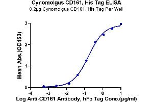 ELISA image for Killer Cell Lectin-Like Receptor Subfamily B, Member 1 (KLRB1) (AA 67-227) protein (His-Avi Tag) (ABIN7274061)