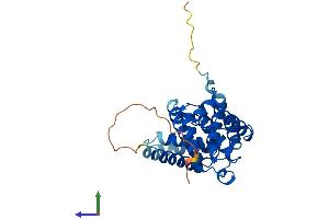 AlphaFold protein structure predicition of Mouse Recombinant Ccnd1 Protein, UniprotID P25322 (Cyclin D1 Protein (CCND1) (AA 1-295) (His tag))