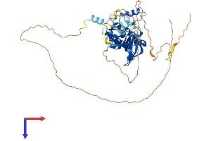 AlphaFold protein structure predicition of Mouse Recombinant Stk33 Protein, UniprotID Q924X7 (STK33 Protein (AA 1-491) (His tag))