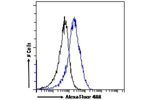 (ABIN190809) Flow cytometric analysis of paraformaldehyde fixed MCF7 cells (blue line), permeabilized with 0.