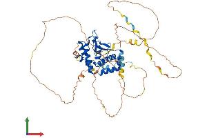 AlphaFold protein structure predicition of Human Recombinant NFIA Protein, UniprotID Q12857 (NFIA Protein (AA 1-509) (His tag))