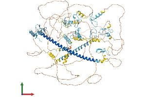 Protein Structure (PS) image for Myelin Transcription Factor 1 (MYT1) (AA 1-1121) protein (His tag) (ABIN7554666)