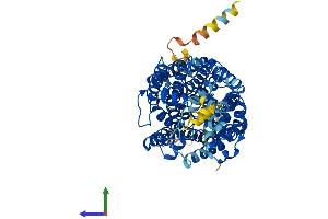 AlphaFold protein structure predicition of Human Recombinant SLC6A6 Protein, UniprotID P31641