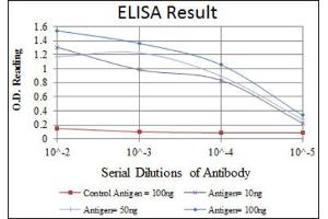 Red: Control Antigen (100ng) ; Purple: Antigen (10ng) ; Green: Antigen (50ng) ; Blue: Antigen (100ng). (OLIG2 antibody)