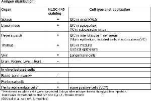 Rat anti CD205 / DEC-205 / LY75 NLDC145