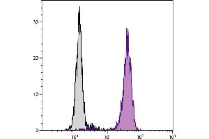 Human peripheral blood granulocytes were stained with Mouse Anti-Human CD16-BIOT. (CD16 antibody  (Biotin))