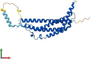 AlphaFold protein structure predicition of Mouse Recombinant Psme1 Protein, UniprotID P97371