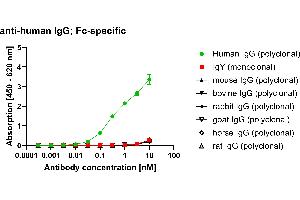 Different species IgG were coated on an ELISA plate at 100 ng. (Recombinant Mouse anti-Human IgG (Fc Region) Antibody (HRP))