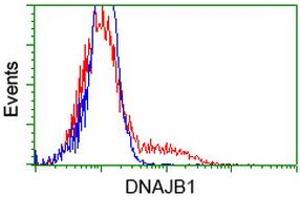 HEK293T cells transfected with either RC201762 overexpress plasmid (Red) or empty vector control plasmid (Blue) were immunostained by anti-DNAJB1 antibody (ABIN2454069), and then analyzed by flow cytometry. (DNAJB1 antibody)