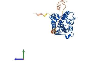 AlphaFold protein structure predicition of Mouse Recombinant Hmox1 Protein, UniprotID P14901 (HMOX1 Protein (AA 1-289) (His tag))
