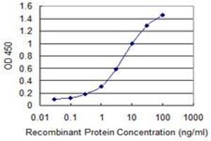 Detection limit for recombinant GST tagged MBTPS1 is 0. (MBTPS1 antibody  (AA 246-355))