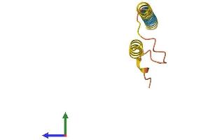 AlphaFold protein structure predicition of Human Recombinant LINC00470 Protein, UniprotID Q9BZP3