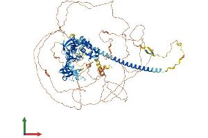 AlphaFold protein structure predicition of Mouse Recombinant Map3k21 Protein, UniprotID Q8VDG6