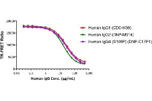 The kit has been used to detect different subclasses of Human IgG, which exhibit different IC50 results as expected. (Human FcRn binding Kit (TR-FRET))