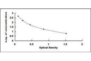 ELISA image for Lipotropin, beta - ELISA Kit (ABIN417051) (Lipotropin, beta - ELISA Kit)