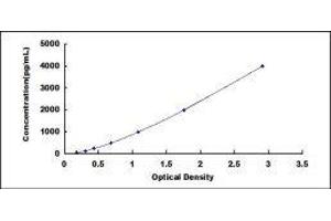 Insulin-Like Growth Factor Binding Protein 5 (IGFBP5) ELISA Kit