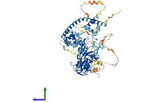 AlphaFold protein structure predicition of Mouse Recombinant Ezh2 Protein, UniprotID Q61188 (EZH2 Protein (AA 1-746) (His tag))