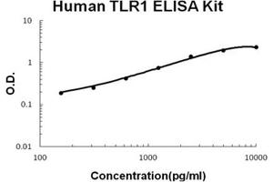 Human TLR1 PicoKine ELISA Kit standard curve