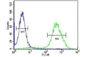 CCR1 antibody flow cytometric analysis of 293 cells (right histogram) compared to a negative control (left histogram). (CCR1 antibody  (AA 1-30))